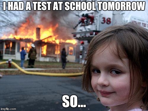 Disaster Girl | I HAD A TEST AT SCHOOL TOMORROW; SO... | image tagged in memes,disaster girl | made w/ Imgflip meme maker