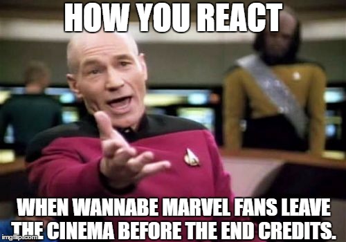 Picard Wtf Meme | HOW YOU REACT; WHEN WANNABE MARVEL FANS LEAVE THE CINEMA BEFORE THE END CREDITS. | image tagged in memes,picard wtf | made w/ Imgflip meme maker