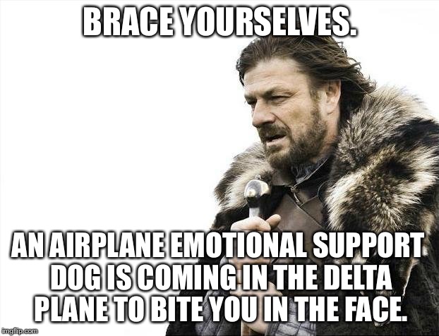 Emotional Support Dog Is Coming To Bite You In The Face | BRACE YOURSELVES. AN AIRPLANE EMOTIONAL SUPPORT DOG IS COMING IN THE DELTA PLANE TO BITE YOU IN THE FACE. | image tagged in memes,brace yourselves x is coming,delta,united airlines passenger removed,does your dog bite,emotional support duck | made w/ Imgflip meme maker