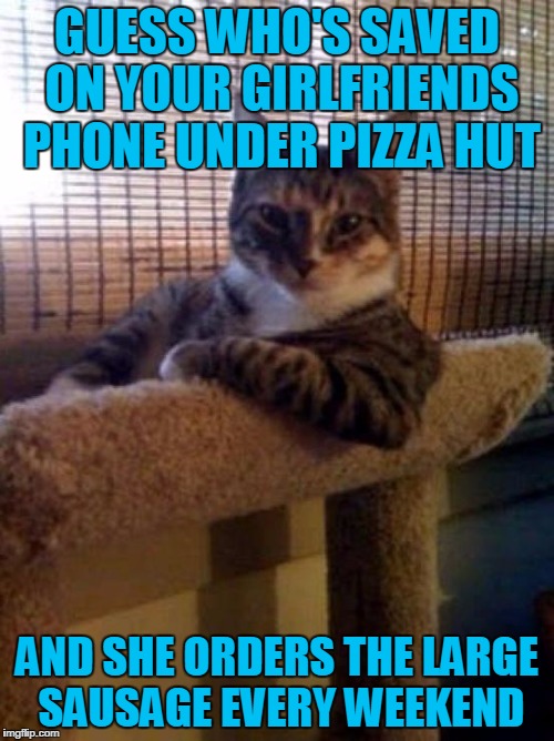 The Most Interesting Cat In The World | GUESS WHO'S SAVED ON YOUR GIRLFRIENDS PHONE UNDER PIZZA HUT; AND SHE ORDERS THE LARGE SAUSAGE EVERY WEEKEND | image tagged in memes,the most interesting cat in the world | made w/ Imgflip meme maker