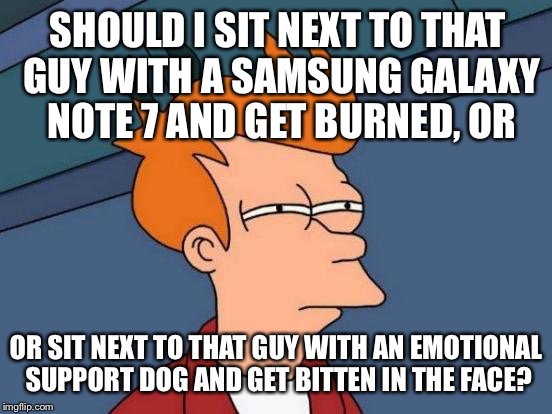 Fry - Samsung Galaxy Note 7 Burn vs Emotional Support Dog Face Bite | SHOULD I SIT NEXT TO THAT GUY WITH A SAMSUNG GALAXY NOTE 7 AND GET BURNED, OR; OR SIT NEXT TO THAT GUY WITH AN EMOTIONAL SUPPORT DOG AND GET BITTEN IN THE FACE? | image tagged in memes,futurama fry,dog,samsung galaxy note 7,emotional trauma,united airlines passenger removed | made w/ Imgflip meme maker