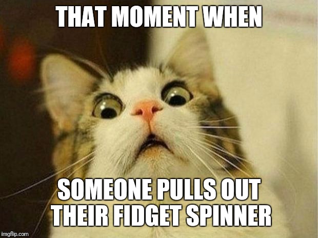 Scared Cat Meme | THAT MOMENT WHEN; SOMEONE PULLS OUT THEIR FIDGET SPINNER | image tagged in memes,scared cat | made w/ Imgflip meme maker