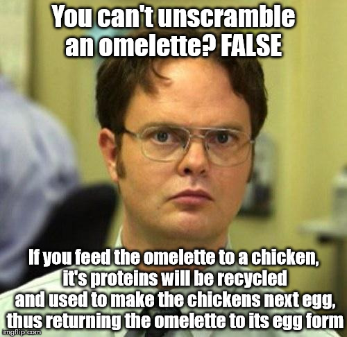 Another platitudinous maxim destroyed by this man's genius. | You can't unscramble an omelette? FALSE; If you feed the omelette to a chicken, it's proteins will be recycled and used to make the chickens next egg, thus returning the omelette to its egg form | image tagged in false,memes,food | made w/ Imgflip meme maker