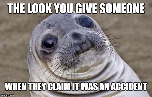 Awkward Moment Sealion Meme | THE LOOK YOU GIVE SOMEONE WHEN THEY CLAIM IT WAS AN ACCIDENT | image tagged in memes,awkward moment sealion | made w/ Imgflip meme maker