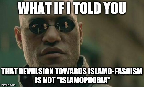 Matrix Morpheus | WHAT IF I TOLD YOU; THAT REVULSION TOWARDS ISLAMO-FASCISM IS NOT "ISLAMOPHOBIA" | image tagged in memes,matrix morpheus,muslims are ok,jihadists are evil | made w/ Imgflip meme maker