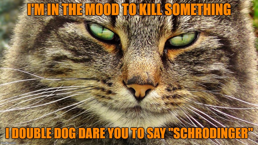 Schrodinger's Angry Cat | I'M IN THE MOOD TO KILL SOMETHING; I DOUBLE DOG DARE YOU TO SAY "SCHRODINGER" | image tagged in schrodinger's cat,cat | made w/ Imgflip meme maker