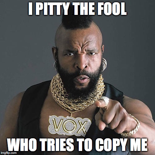Mr T Pity The Fool Meme | I PITTY THE FOOL; WHO TRIES TO COPY ME | image tagged in memes,mr t pity the fool | made w/ Imgflip meme maker