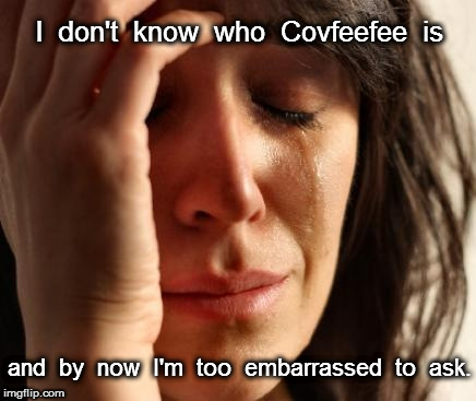 Crying Woman I Don't Know Covfefe | I  don't  know  who  Covfeefee  is; and  by  now  I'm  too  embarrassed  to  ask. | image tagged in crying woman,covfefe | made w/ Imgflip meme maker