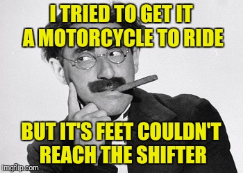 I TRIED TO GET IT A MOTORCYCLE TO RIDE BUT IT'S FEET COULDN'T REACH THE SHIFTER | made w/ Imgflip meme maker