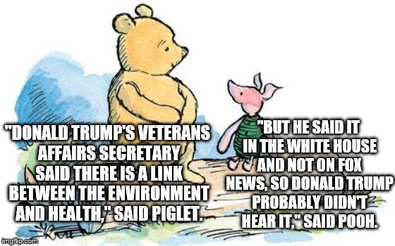 winnie the pooh and piglet | "BUT HE SAID IT IN THE WHITE HOUSE AND NOT ON FOX NEWS, SO DONALD TRUMP PROBABLY DIDN'T HEAR IT," SAID POOH. "DONALD TRUMP'S VETERANS AFFAIRS SECRETARY SAID THERE IS A LINK BETWEEN THE ENVIRONMENT AND HEALTH," SAID PIGLET. | image tagged in winnie the pooh and piglet | made w/ Imgflip meme maker