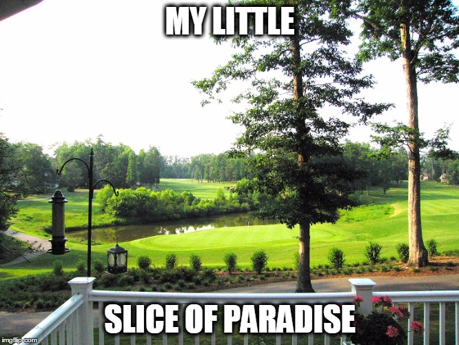 MY LITTLE; SLICE OF PARADISE | image tagged in paradise | made w/ Imgflip meme maker