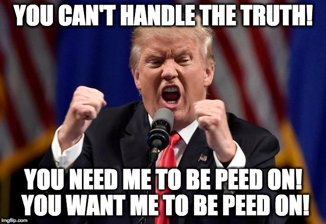 YOU CAN'T HANDLE THE TRUTH! YOU NEED ME TO BE PEED ON! YOU WANT ME TO BE PEED ON! | image tagged in code yellow | made w/ Imgflip meme maker
