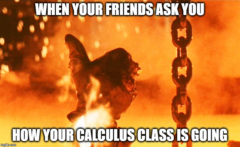 WHEN YOUR FRIENDS ASK YOU; HOW YOUR CALCULUS CLASS IS GOING | image tagged in still ok | made w/ Imgflip meme maker