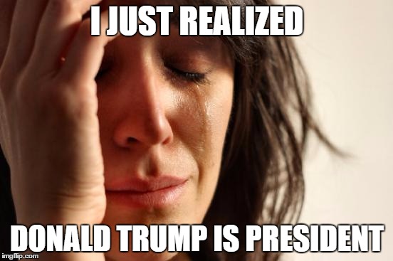 First World Problems Meme | I JUST REALIZED; DONALD TRUMP IS PRESIDENT | image tagged in memes,first world problems | made w/ Imgflip meme maker