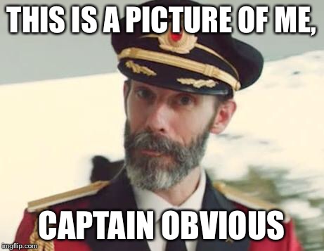 Captain Obvious | THIS IS A PICTURE OF ME, CAPTAIN OBVIOUS | image tagged in captain obvious | made w/ Imgflip meme maker