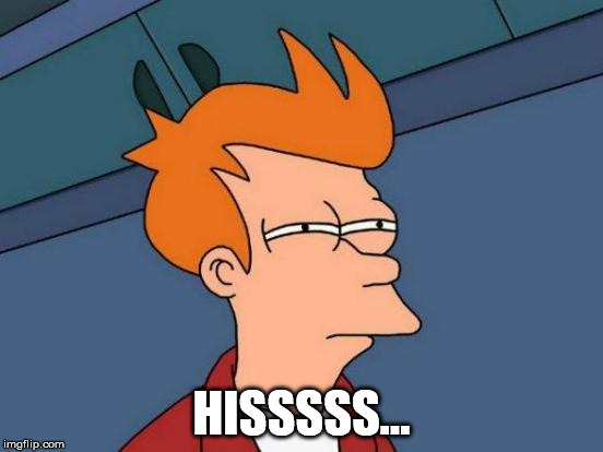 Futurama Fry Meme | HISSSSS... | image tagged in memes,futurama fry | made w/ Imgflip meme maker