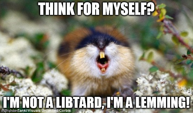 THINK FOR MYSELF? I'M NOT A LIBTARD, I'M A LEMMING! | image tagged in lemming | made w/ Imgflip meme maker