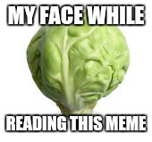 Sprout Wisdom | MY FACE WHILE READING THIS MEME | image tagged in sprout wisdom | made w/ Imgflip meme maker