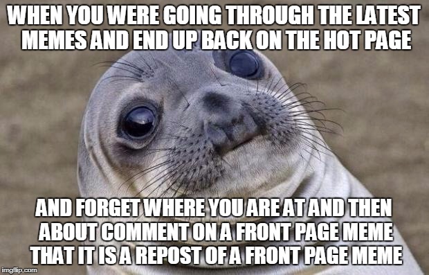 Awkward Moment Sealion Meme | WHEN YOU WERE GOING THROUGH THE LATEST MEMES AND END UP BACK ON THE HOT PAGE; AND FORGET WHERE YOU ARE AT AND THEN ABOUT COMMENT ON A FRONT PAGE MEME THAT IT IS A REPOST OF A FRONT PAGE MEME | image tagged in memes,awkward moment sealion | made w/ Imgflip meme maker