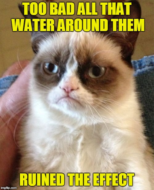 Grumpy Cat Meme | TOO BAD ALL THAT WATER AROUND THEM RUINED THE EFFECT | image tagged in memes,grumpy cat | made w/ Imgflip meme maker