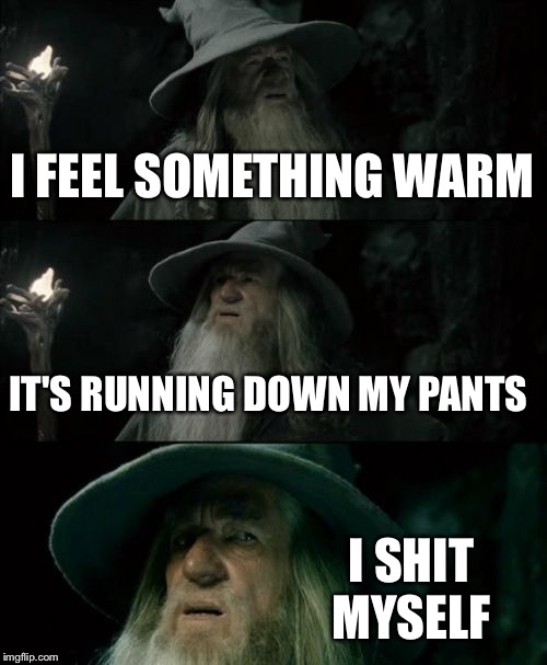 Confused Gandalf | I FEEL SOMETHING WARM; IT'S RUNNING DOWN MY PANTS; I SHIT MYSELF | image tagged in memes,confused gandalf | made w/ Imgflip meme maker