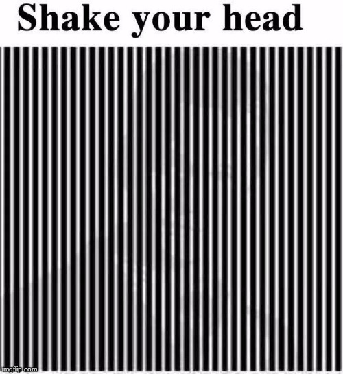 Optical Illusion :) | image tagged in optical illusion | made w/ Imgflip meme maker