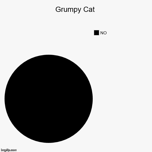 image tagged in pie charts,grumpy cat | made w/ Imgflip chart maker