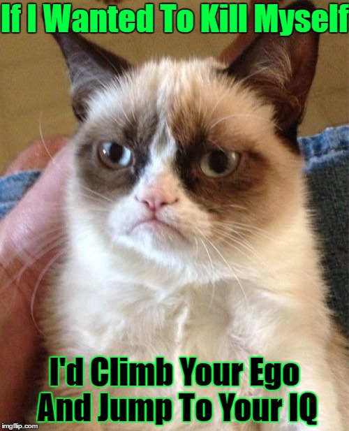 Grumpy Cat | If I Wanted To Kill Myself; I'd Climb Your Ego And Jump To Your IQ | image tagged in memes,grumpy cat | made w/ Imgflip meme maker