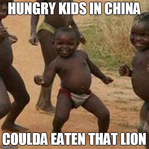Third World Success Kid Meme | HUNGRY KIDS IN CHINA COULDA EATEN THAT LION | image tagged in memes,third world success kid | made w/ Imgflip meme maker
