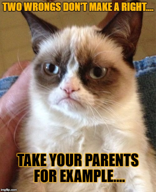 Grumpy Cat Meme | TWO WRONGS DON'T MAKE A RIGHT.... TAKE YOUR PARENTS FOR EXAMPLE.... | image tagged in memes,grumpy cat | made w/ Imgflip meme maker