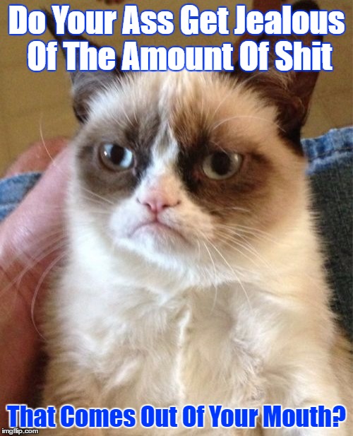 Grumpy Cat | Do Your Ass Get Jealous Of The Amount Of Shit; That Comes Out Of Your Mouth? | image tagged in memes,grumpy cat | made w/ Imgflip meme maker