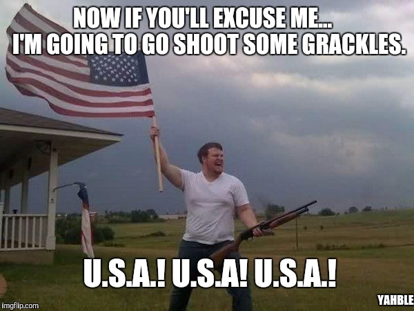 Shotgun Patriot | NOW IF YOU'LL EXCUSE ME...   I'M GOING TO GO SHOOT SOME GRACKLES. U.S.A.! U.S.A! U.S.A.! YAHBLE | image tagged in shotgun patriot | made w/ Imgflip meme maker