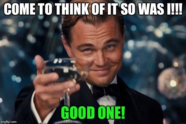 Leonardo Dicaprio Cheers Meme | COME TO THINK OF IT SO WAS I!!! GOOD ONE! | image tagged in memes,leonardo dicaprio cheers | made w/ Imgflip meme maker