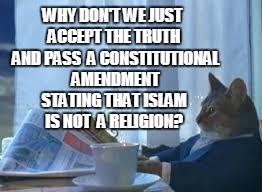 EPIPHANY CAT FIGURES OUT ISLAM AT BREAKFAST | WHY DON'T WE JUST ACCEPT THE TRUTH  AND PASS  A CONSTITUTIONAL  AMENDMENT STATING THAT ISLAM IS NOT  A RELIGION? | image tagged in cat suit 1,islam,islamic terrorism,the truth | made w/ Imgflip meme maker