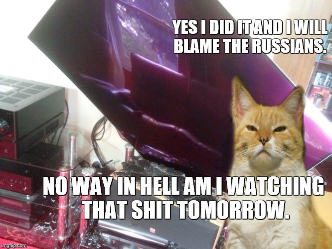 Russian Kitty! | YES I DID IT AND I WILL BLAME THE RUSSIANS. NO WAY IN HELL AM I WATCHING THAT SHIT TOMORROW. | image tagged in the russians did it | made w/ Imgflip meme maker