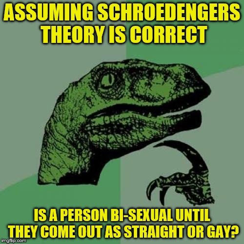Don't think too hard on this one
 | ASSUMING SCHROEDENGERS THEORY IS CORRECT; IS A PERSON BI-SEXUAL UNTIL THEY COME OUT AS STRAIGHT OR GAY? | image tagged in memes,philosoraptor | made w/ Imgflip meme maker