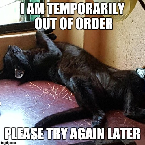 I AM TEMPORARILY OUT OF ORDER; PLEASE TRY AGAIN LATER | made w/ Imgflip meme maker
