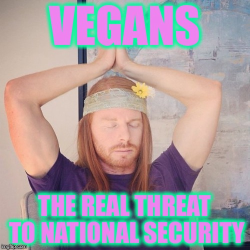 VEGANS; THE REAL THREAT TO NATIONAL SECURITY | image tagged in reality winner,memes,vegan,vegans | made w/ Imgflip meme maker