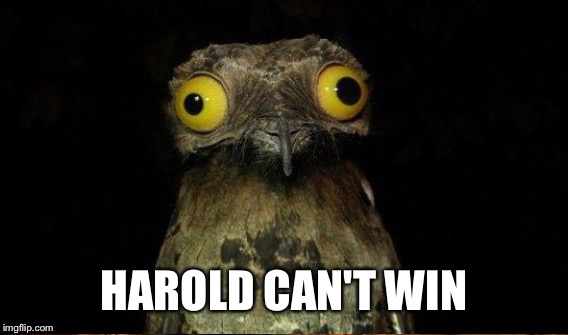 HAROLD CAN'T WIN | made w/ Imgflip meme maker