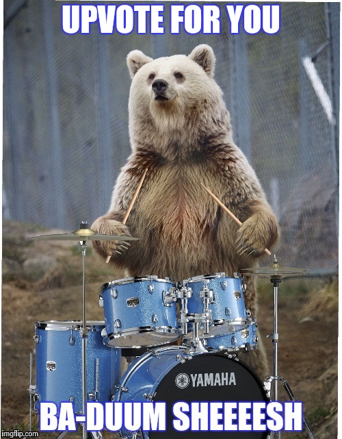 UPVOTE FOR YOU | image tagged in drummer bear | made w/ Imgflip meme maker