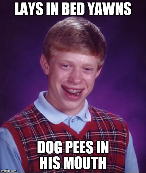 Bad Luck Brian Meme | LAYS IN BED YAWNS DOG PEES IN HIS MOUTH | image tagged in memes,bad luck brian | made w/ Imgflip meme maker