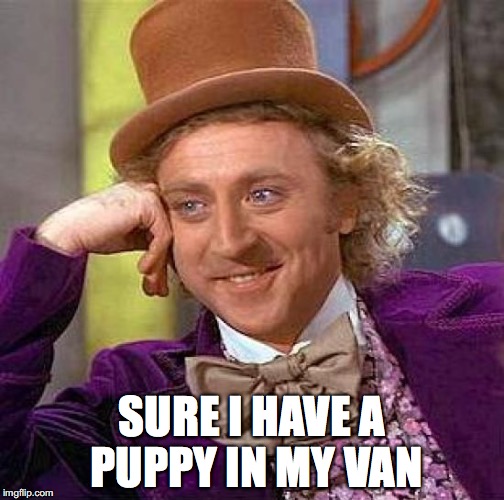creepy wonka | SURE I HAVE A PUPPY IN MY VAN | image tagged in funny memes | made w/ Imgflip meme maker