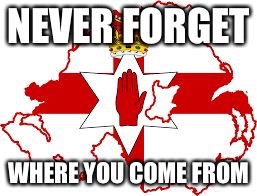 Ulster | NEVER FORGET; WHERE YOU COME FROM | image tagged in ulster | made w/ Imgflip meme maker