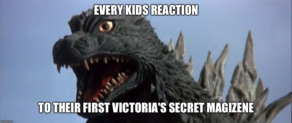  EVERY KIDS REACTION; TO THEIR FIRST VICTORIA'S SECRET MAGIZENE | image tagged in surprised godzilla | made w/ Imgflip meme maker