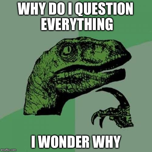 Philosoraptor | WHY DO I QUESTION EVERYTHING; I WONDER WHY | image tagged in memes,philosoraptor | made w/ Imgflip meme maker