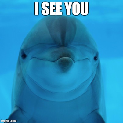 I SEE YOU | made w/ Imgflip meme maker