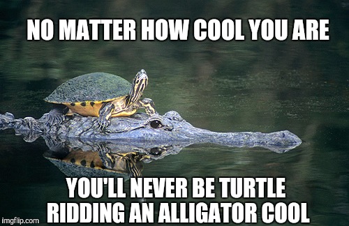 NO MATTER HOW COOL YOU ARE; YOU'LL NEVER BE TURTLE RIDDING AN ALLIGATOR COOL | image tagged in jbmemegeek,turtle ridding alligator,turtle meme,alligator,cool | made w/ Imgflip meme maker