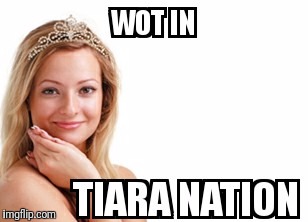 An original wot in tarnation meme... Tired of people recycling old ones! | image tagged in wot in tarnation,what in tarnation,dank tiara,funny memes | made w/ Imgflip meme maker