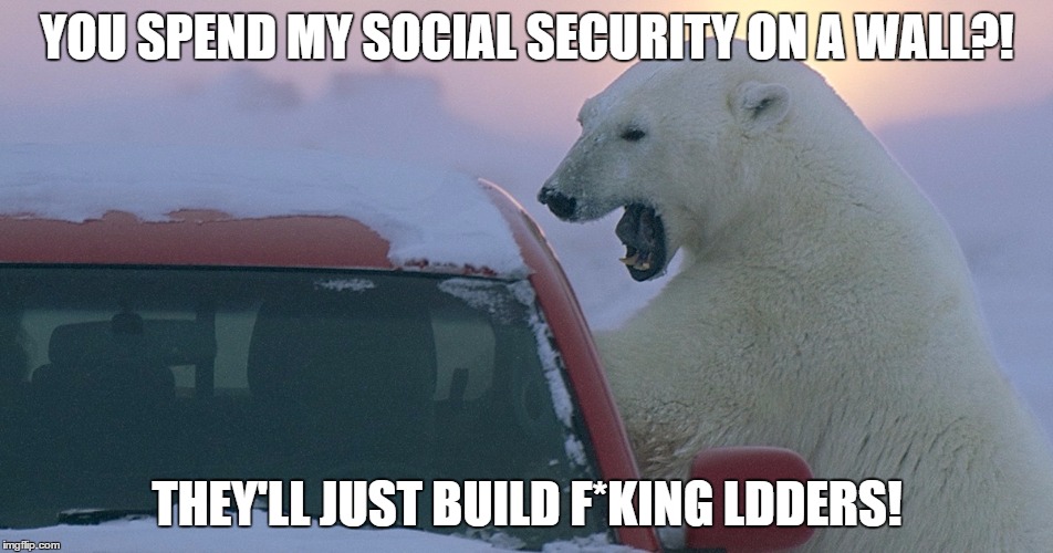  YOU SPEND MY SOCIAL SECURITY ON A WALL?! THEY'LL JUST BUILD F*KING LDDERS! | image tagged in polar bear attack | made w/ Imgflip meme maker