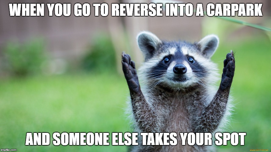 Road rage | WHEN YOU GO TO REVERSE INTO A CARPARK; AND SOMEONE ELSE TAKES YOUR SPOT | image tagged in frustrated racoon | made w/ Imgflip meme maker